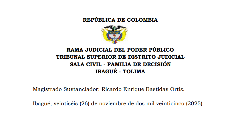 Liquidación patrimonial sin bienes: tutela garantiza acceso a la justicia en Colombia